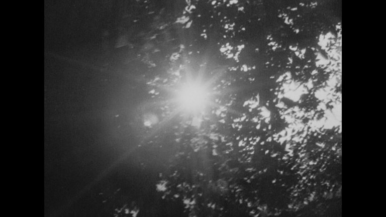 Screen capture from Rashomon