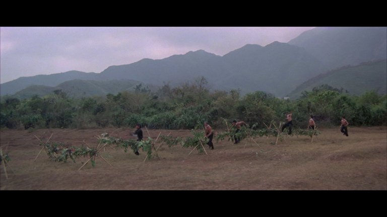 Screen capture from Shawscope: Volume Two