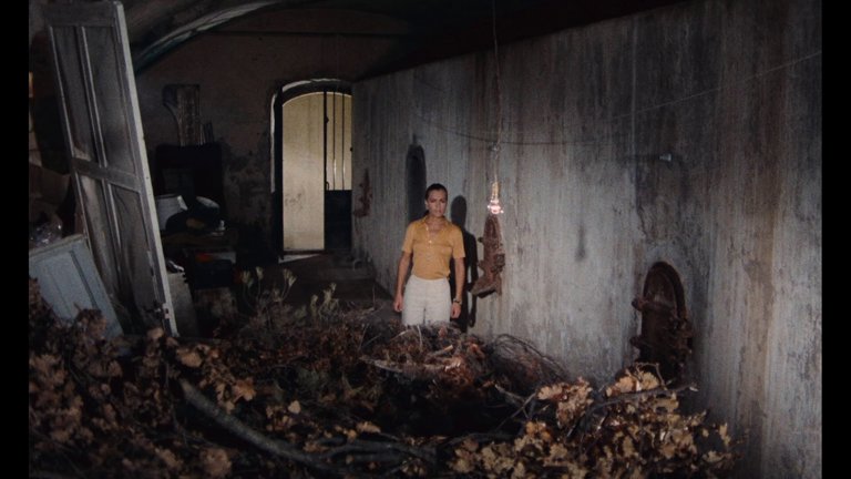 Screen capture from La piscine