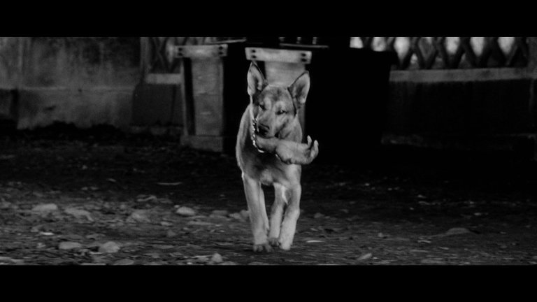 Screen capture from Yojimbo