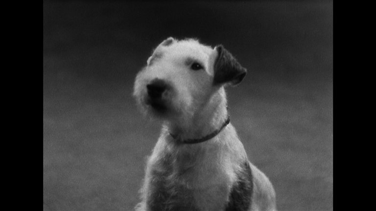 Screen capture from Merrily We Go to Hell