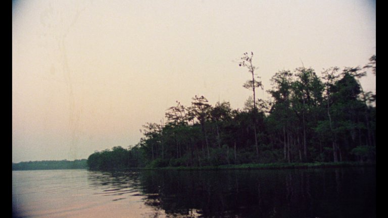 Screen capture from Gates of Heaven / Vernon, Florida