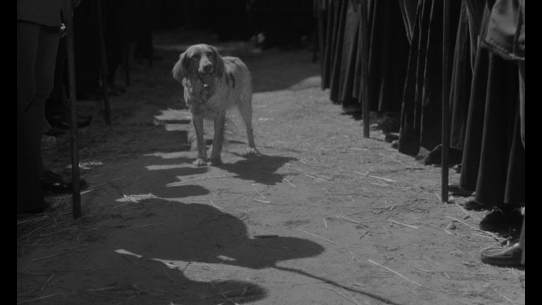 Screen capture from The Trial of Joan of Arc