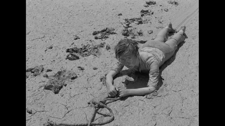 Screen capture from The Red Balloon and Other Stories: Five Films by Albert Lamorisse