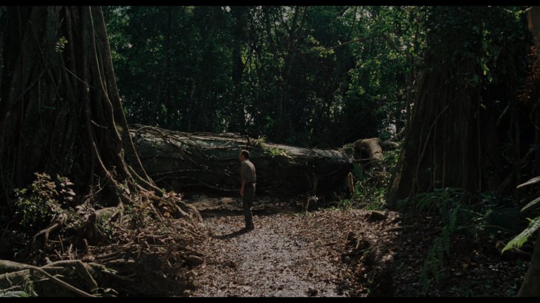 Screen capture from Sorcerer