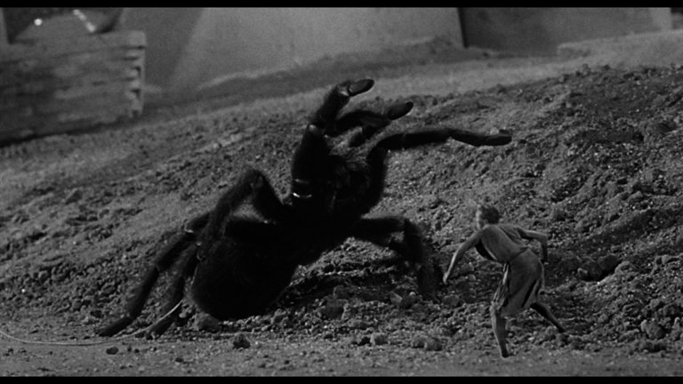 Screen capture from The Incredible Shrinking Man