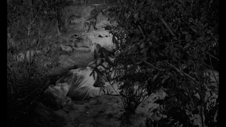 Screen capture from Something Wild