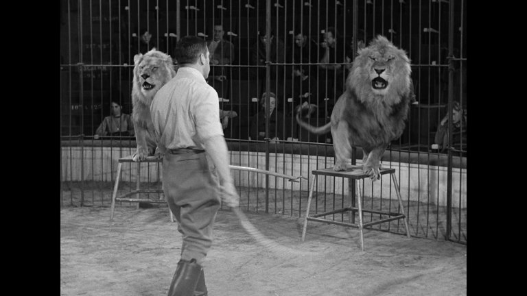 Screen capture from The Red Balloon and Other Stories: Five Films by Albert Lamorisse