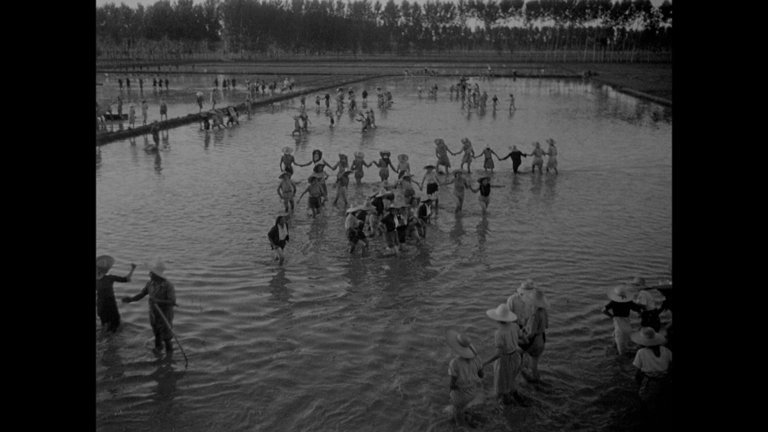 Screen capture from Bitter Rice