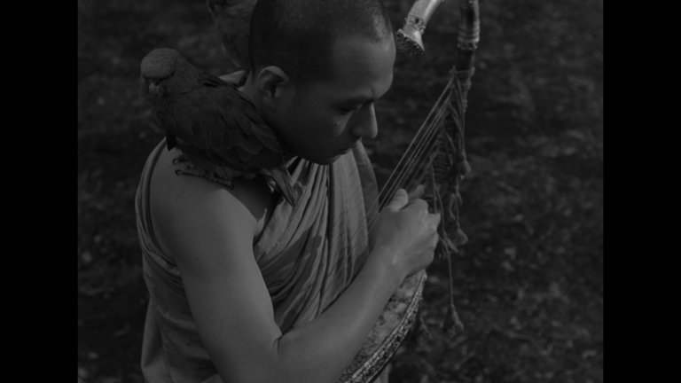 Screen capture from The Burmese Harp