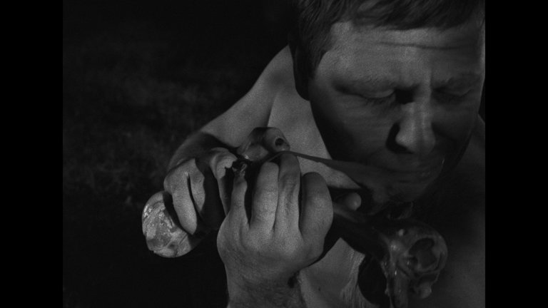Screen capture from Night of the Living Dead