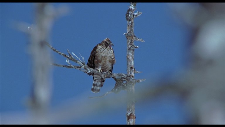 Screen capture from The Ballad of Narayama