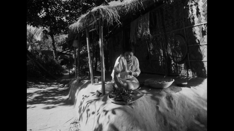 Screen capture from A River Called Titas / Dry Summer