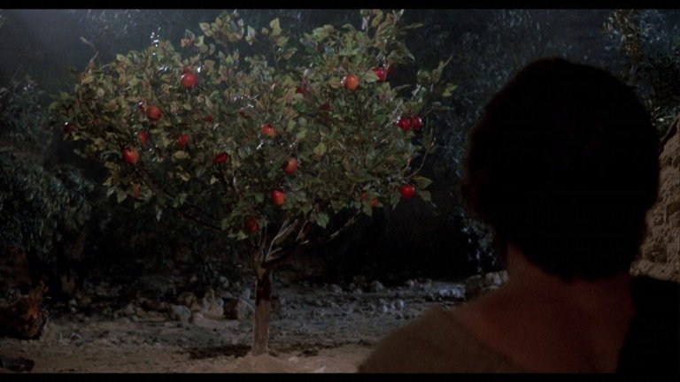 Screen capture from The Last Temptation of Christ
