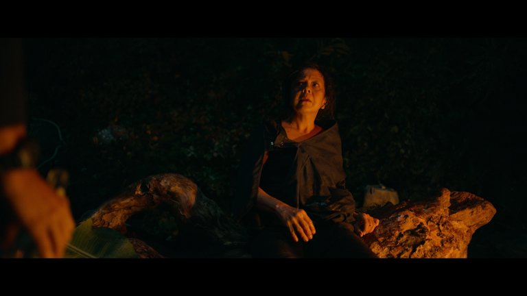 Screen capture from Triangle of Sadness