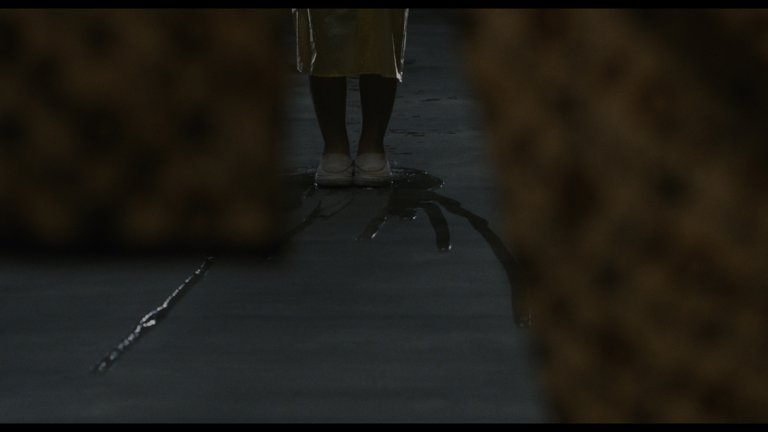 Screen capture from Dark Water