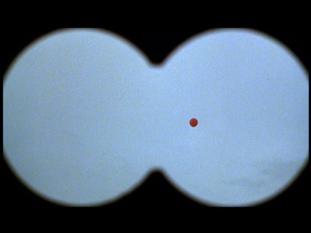 Screen capture from Walkabout
