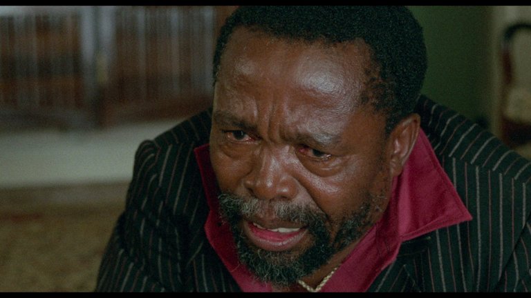Screen capture from A Dry White Season