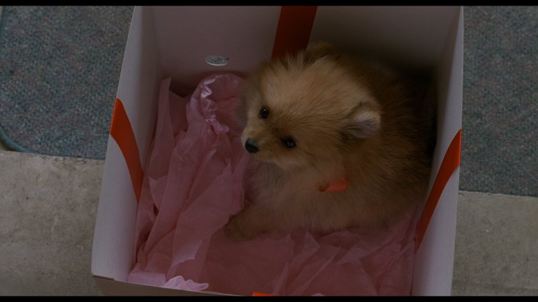 Screen capture from To Die For