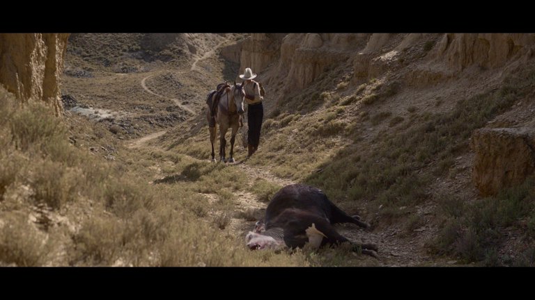 Screen capture from The Power of the Dog