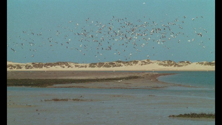 Screen capture from Two Films by Marguerite Duras