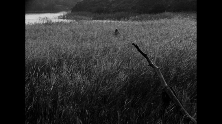 Screen capture from Ingmar Bergman’s Cinema