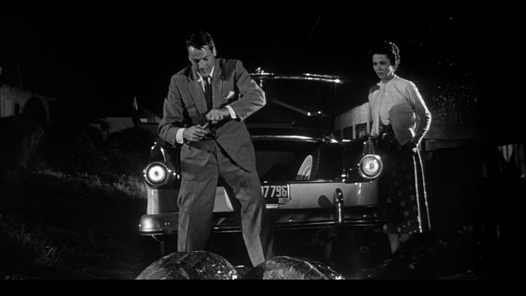 Screen capture from Invasion of the Body Snatchers