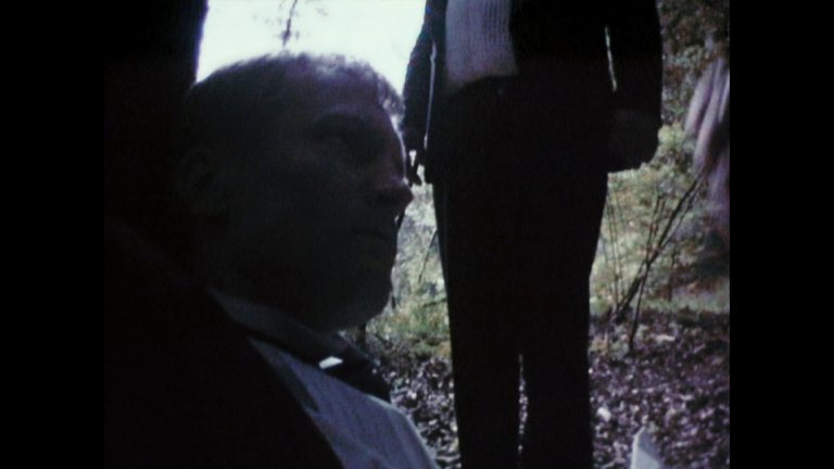 Screen capture from The Celebration