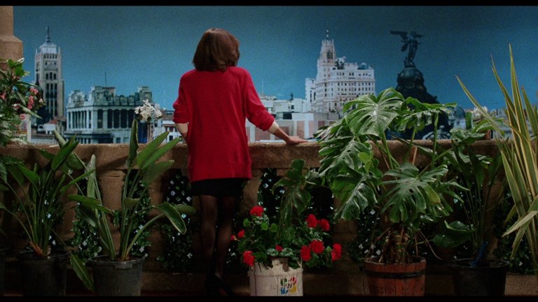 Screen capture from Women on the Verge of a Nervous Breakdown