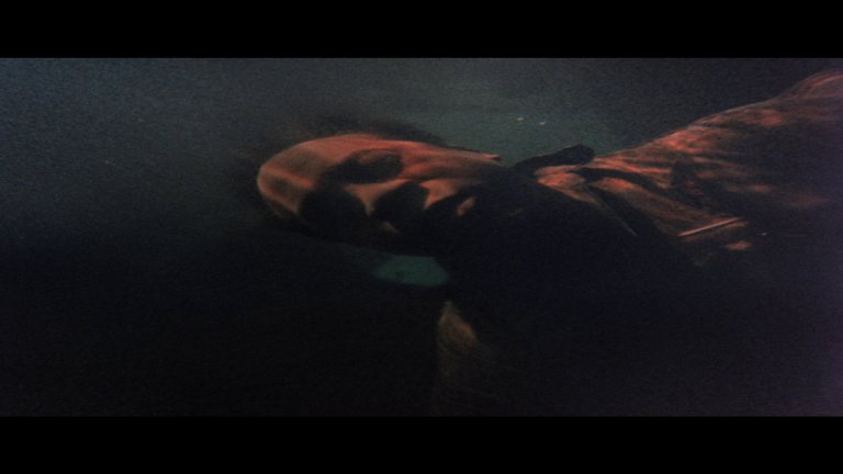 Screen capture from The Learning Tree