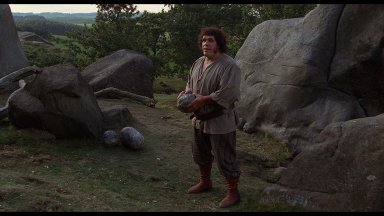 Screen capture from The Princess Bride