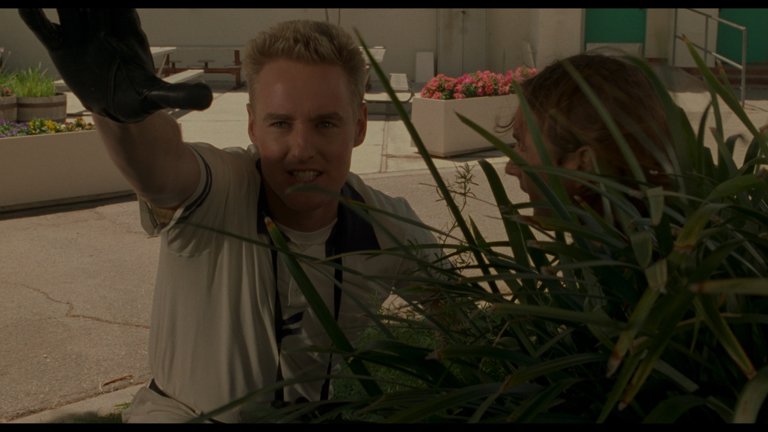 Screen capture from The Wes Anderson Archive: Ten Films, Twenty-Five Years