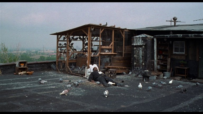 Screen capture from Ghost Dog: The Way of the Samurai