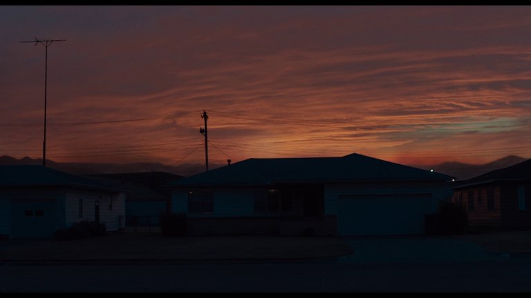 Screen capture from Wildlife