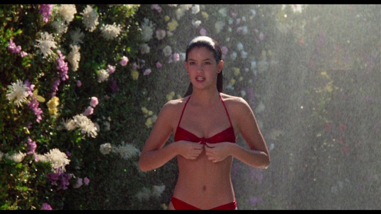 Screen capture from Fast Times at Ridgemont High