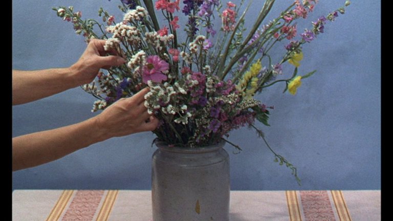 Screen capture from Le bonheur