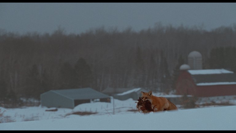 Screen capture from A Simple Plan
