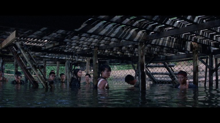 Screen capture from Eastern Condors