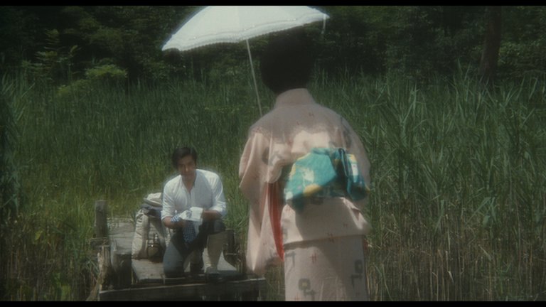 Screen capture from Demon Pond
