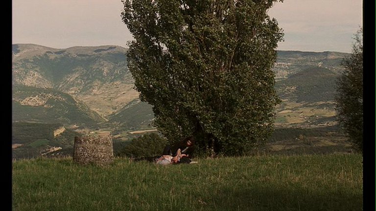 Screen capture from The Vanishing