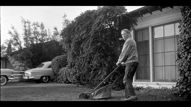 Screen capture from Invasion of the Body Snatchers