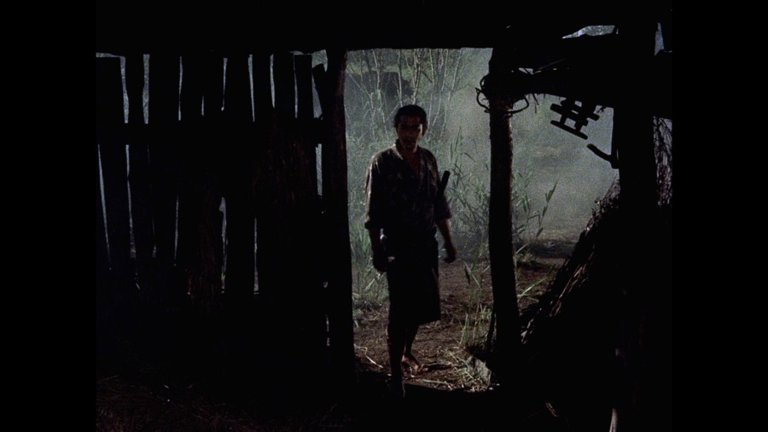 Screen capture from The Samurai Trilogy