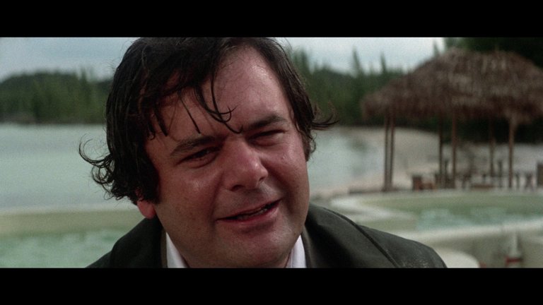 Screen capture from The Day of the Dolphin