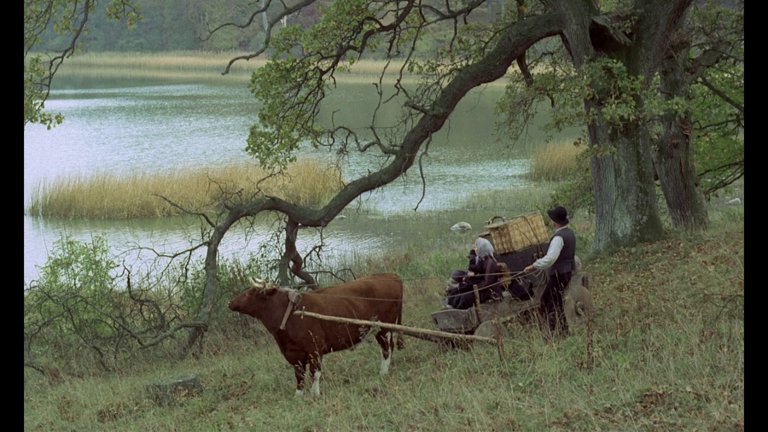 Screen capture from The Emigrants • The New Land