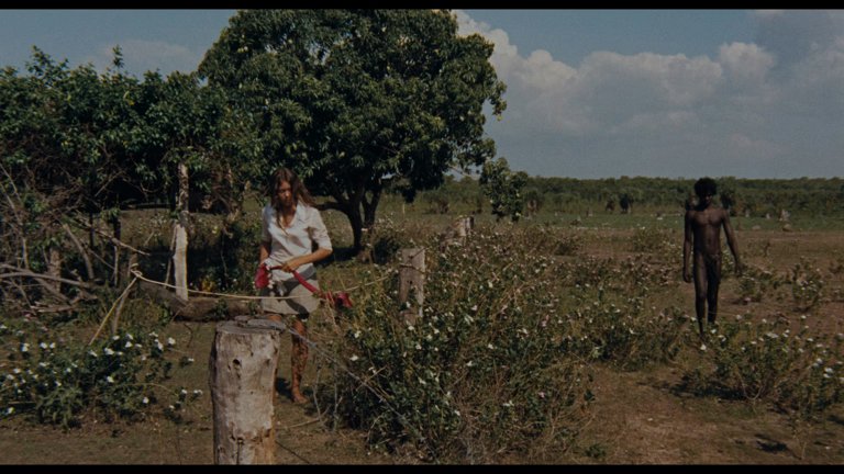 Screen capture from Walkabout