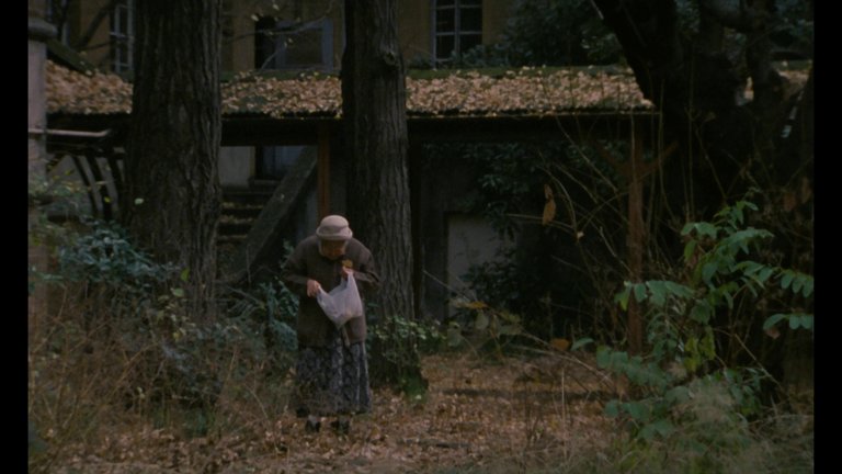 Screen capture from After Life