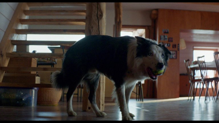Screen capture from Anatomy of a Fall