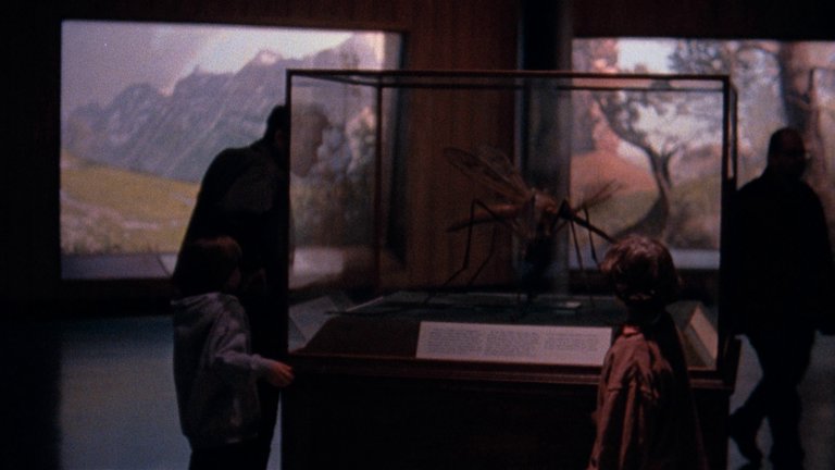 Screen capture from Daddy Longlegs