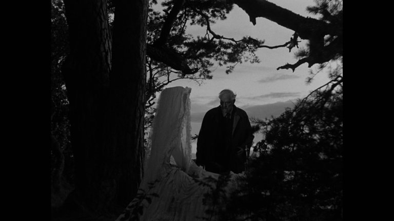 Screen capture from Wild Strawberries
