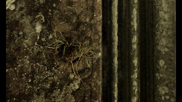 Screen capture from In the Mood for Love